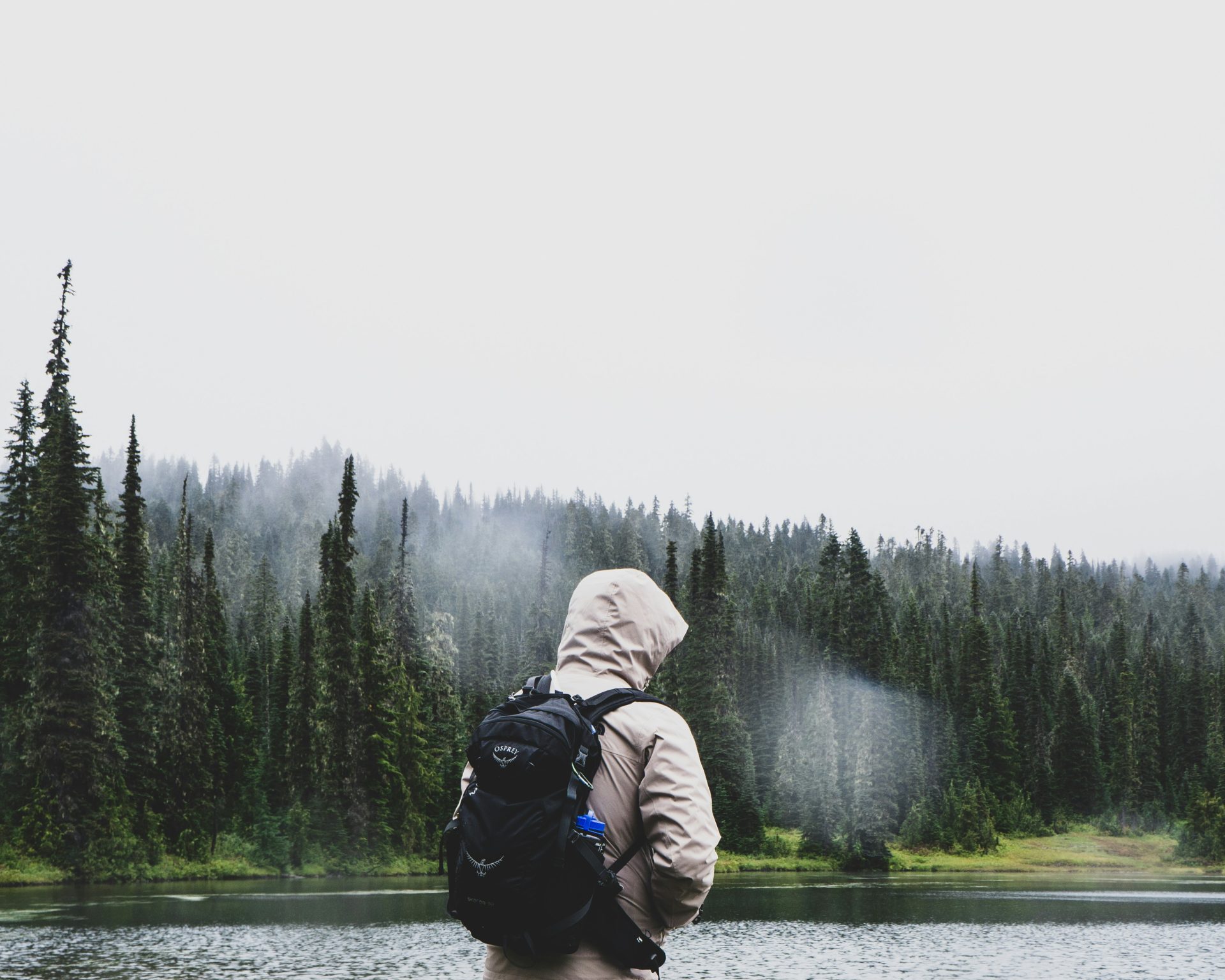 man standing near pine trees